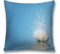 Декоративная наволочка JoyArty sl_35490