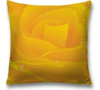 Декоративная наволочка JoyArty sl_21877