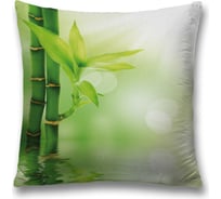 Декоративная наволочка JoyArty sl_38878