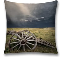 Декоративная наволочка JoyArty sl_38277