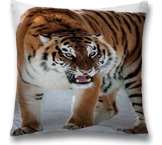 Декоративная наволочка JoyArty sl_38670