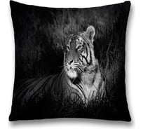 Декоративная наволочка JoyArty sl_38188