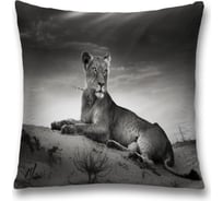 Декоративная наволочка JoyArty sl_38169