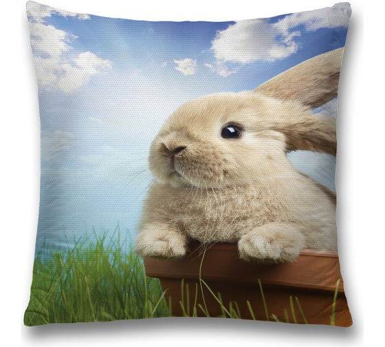 Декоративная наволочка JoyArty sl_4713 1