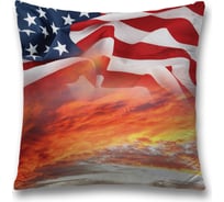 Декоративная наволочка JoyArty sl_20709