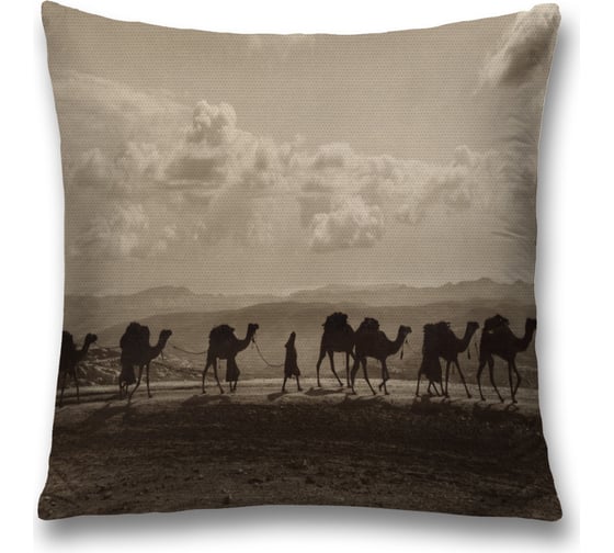 Декоративная наволочка JoyArty sl_4129