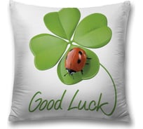 Декоративная наволочка JoyArty sl_34643