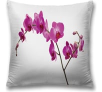 Декоративная наволочка JoyArty sl_22125