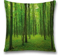 Декоративная наволочка JoyArty sl_18945