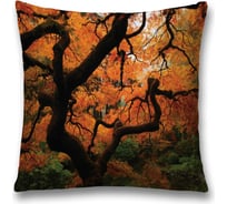 Декоративная наволочка JoyArty sl_17895