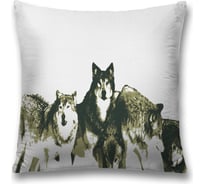 Декоративная наволочка JoyArty sl_17716