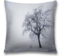 Декоративная наволочка JoyArty sl_17611