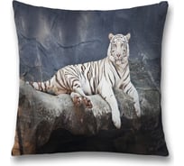 Декоративная наволочка JoyArty sl_38661