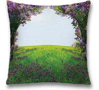 Декоративная наволочка JoyArty sl_18197