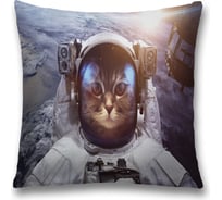 Декоративная наволочка JoyArty sl_33519