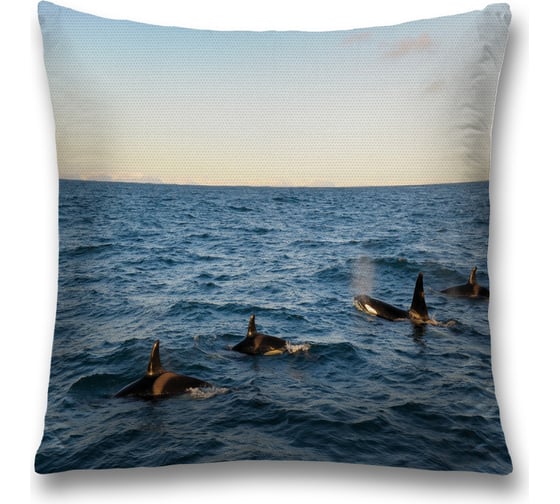 Декоративная наволочка JoyArty sl_23175 1