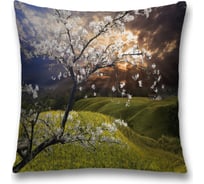 Декоративная наволочка JoyArty sl_17359