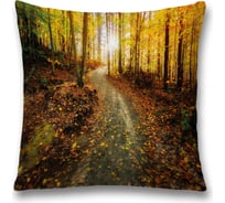 Декоративная наволочка JoyArty sl_37696