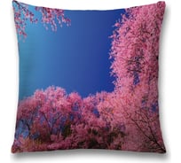 Декоративная наволочка JoyArty sl_17424