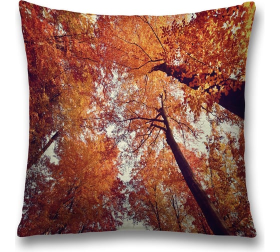 Декоративная наволочка JoyArty sl_20669 1