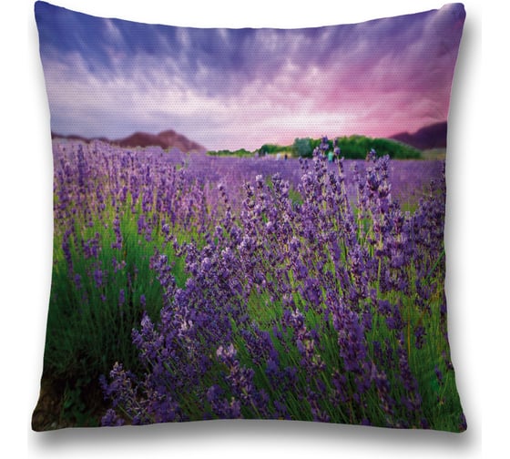 Декоративная наволочка JoyArty sl_39842 1