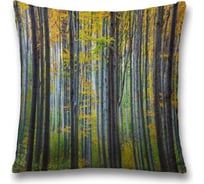 Декоративная наволочка JoyArty sl_18832