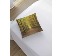 Декоративная наволочка JoyArty sl_18824