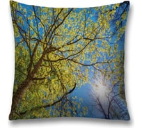 Декоративная наволочка JoyArty sl_20664