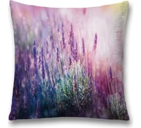 Декоративная наволочка JoyArty sl_39846