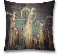 Декоративная наволочка JoyArty sl_17524