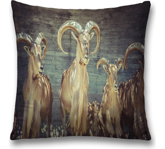 Декоративная наволочка JoyArty sl_17524 1