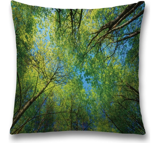 Декоративная наволочка JoyArty sl_20679 1