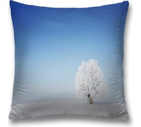 Декоративная наволочка JoyArty sl_20089