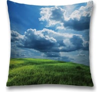 Декоративная наволочка JoyArty sl_17345