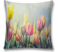 Декоративная наволочка JoyArty sl_38072