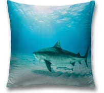 Декоративная наволочка JoyArty sl_19818