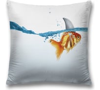 Декоративная наволочка JoyArty sl_19819