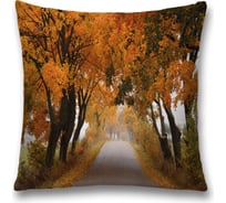 Декоративная наволочка JoyArty sl_37662