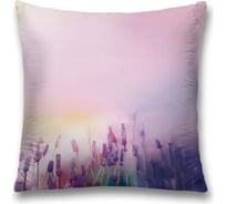 Декоративная наволочка JoyArty sl_21163