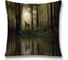 Декоративная наволочка JoyArty sl_32682 1
