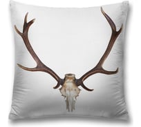 Декоративная наволочка JoyArty sl_17534