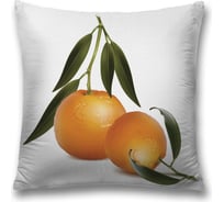 Декоративная наволочка JoyArty sl_60271