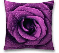 Декоративная наволочка JoyArty sl_18525