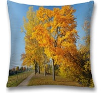 Декоративная наволочка JoyArty sl_37657