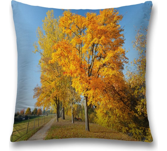 Декоративная наволочка JoyArty sl_37657 1