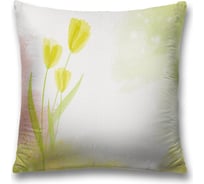 Декоративная наволочка JoyArty sl_17747