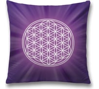 Декоративная наволочка JoyArty sl_28836