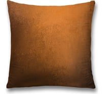 Декоративная наволочка JoyArty sl_38249