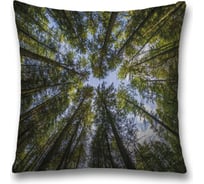 Декоративная наволочка JoyArty sl_32205