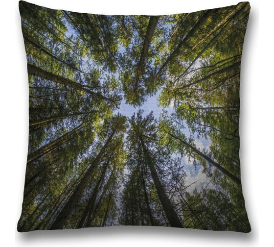 Декоративная наволочка JoyArty sl_32205